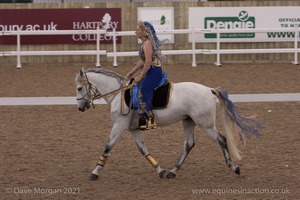 Lusitano Breed Society of Great Britain Show - Hartpury College - 27th June 2009